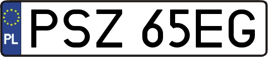 PSZ65EG