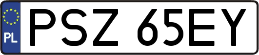 PSZ65EY