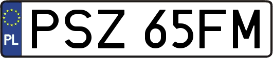 PSZ65FM