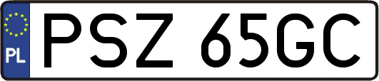 PSZ65GC