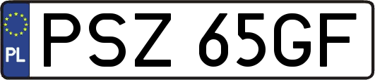 PSZ65GF