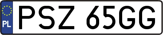 PSZ65GG