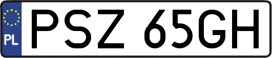 PSZ65GH