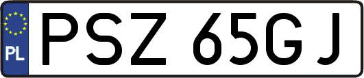 PSZ65GJ