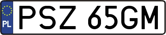 PSZ65GM
