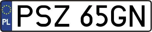 PSZ65GN