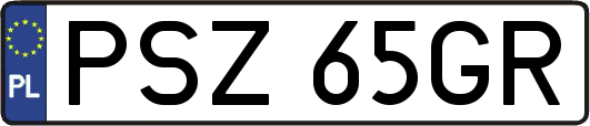 PSZ65GR