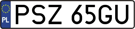 PSZ65GU