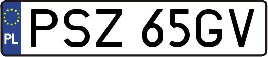 PSZ65GV