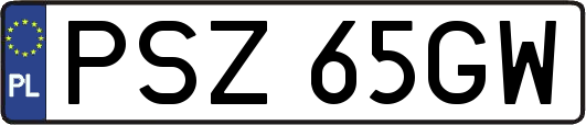 PSZ65GW