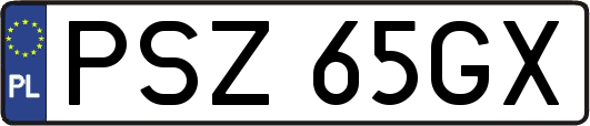 PSZ65GX