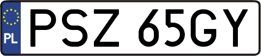PSZ65GY