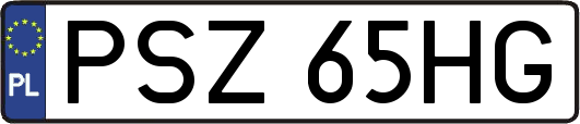 PSZ65HG