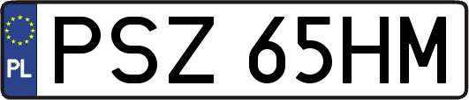 PSZ65HM