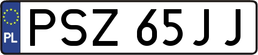 PSZ65JJ