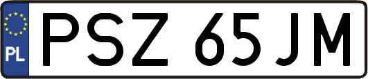 PSZ65JM