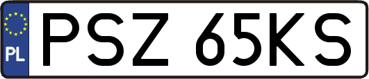 PSZ65KS