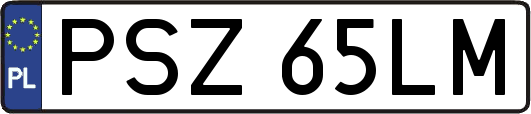 PSZ65LM