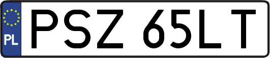 PSZ65LT