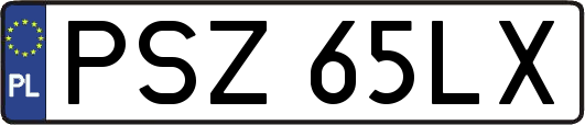 PSZ65LX