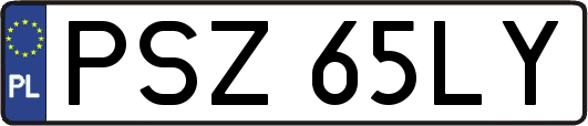 PSZ65LY