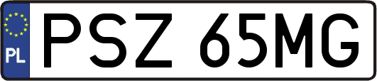 PSZ65MG