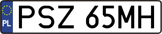 PSZ65MH