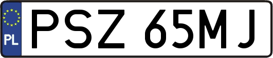PSZ65MJ