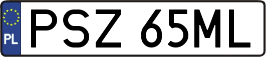 PSZ65ML
