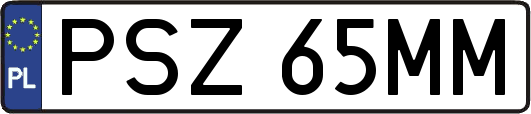PSZ65MM