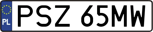 PSZ65MW