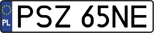 PSZ65NE
