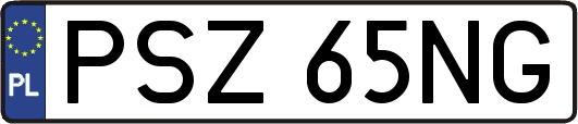 PSZ65NG