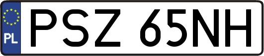 PSZ65NH