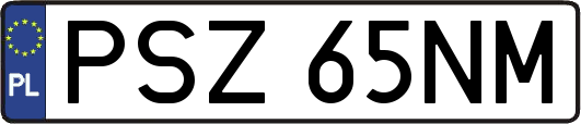 PSZ65NM
