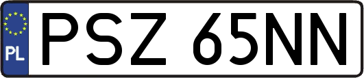 PSZ65NN