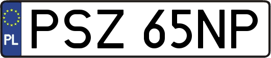 PSZ65NP