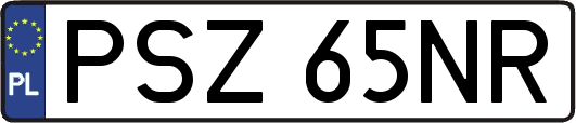 PSZ65NR