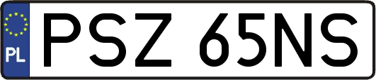 PSZ65NS