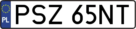 PSZ65NT