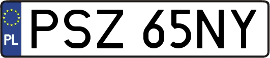 PSZ65NY