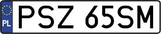 PSZ65SM