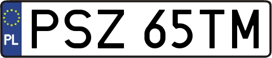 PSZ65TM