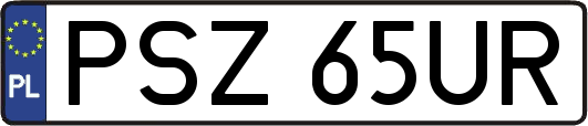 PSZ65UR