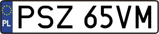 PSZ65VM