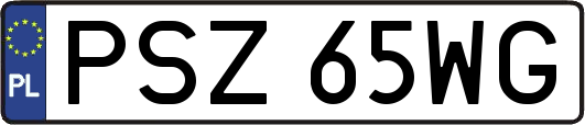 PSZ65WG