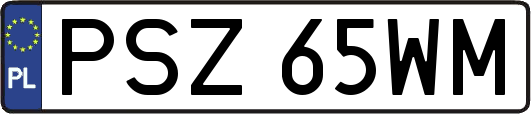 PSZ65WM