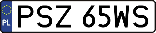 PSZ65WS