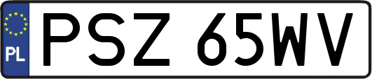 PSZ65WV