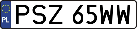 PSZ65WW